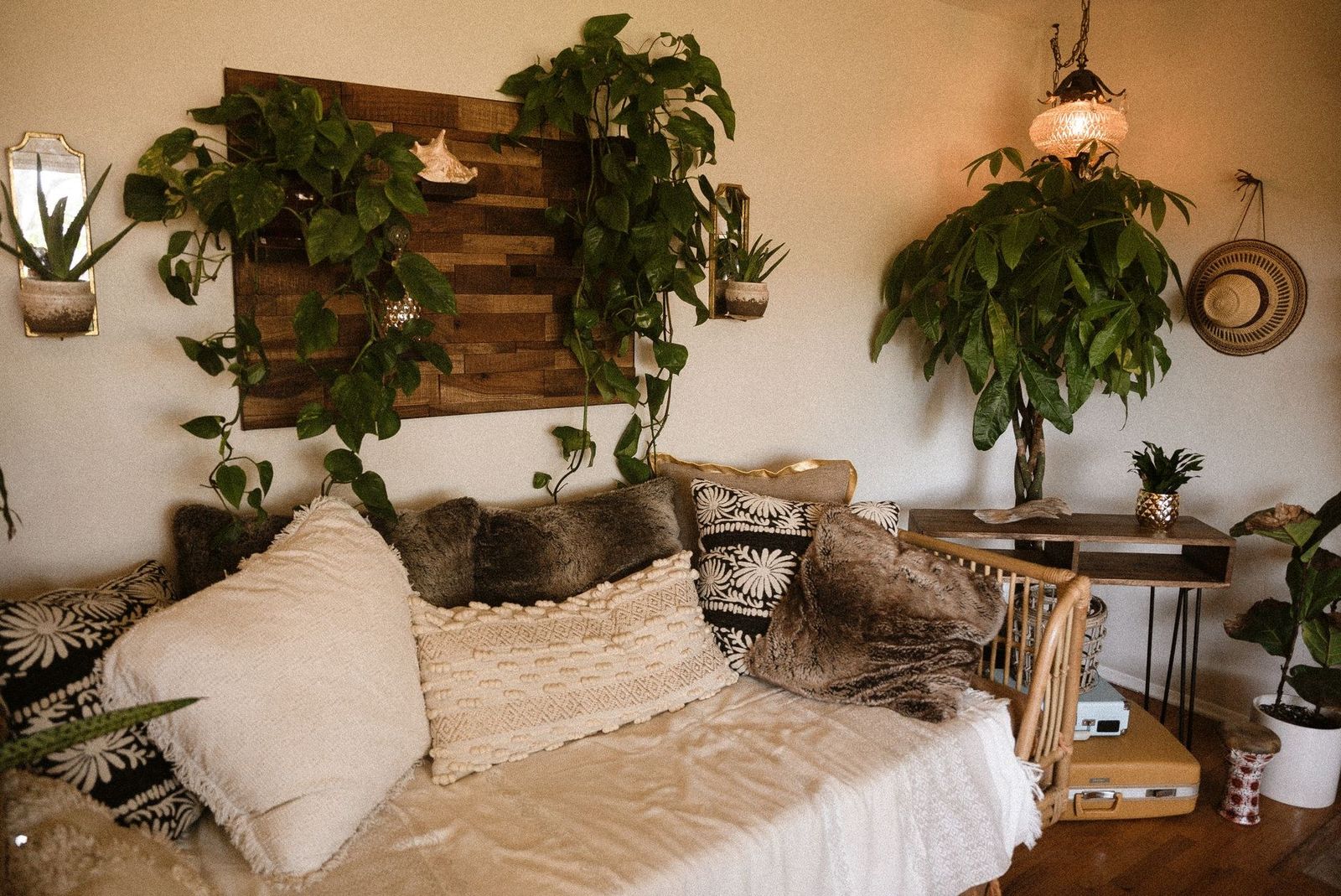 Living cálido con decoración rústica y plantas de interior