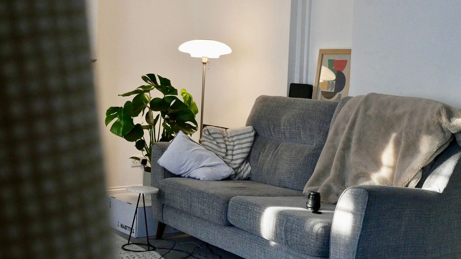 Living con sofá gris, lámpara de pie y una planta bañados por el sol de la mañana